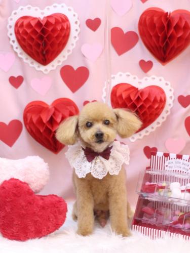 20240224のえるくん